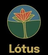 Lótus Psicoterapia Analítica